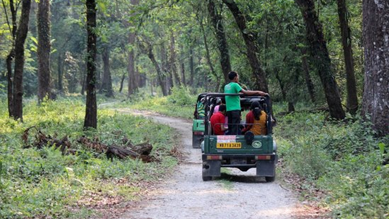 অরণ্যের দিনরাত্রি – বাংলার সেরা ৫টি জঙ্গল পর্যটন কেন্দ্র