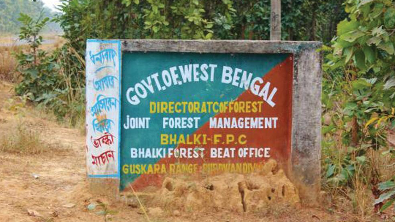 উইকএন্ডে ঘুরে আসুন সবুজে ঘেরা ভালকি মাচান থেকে