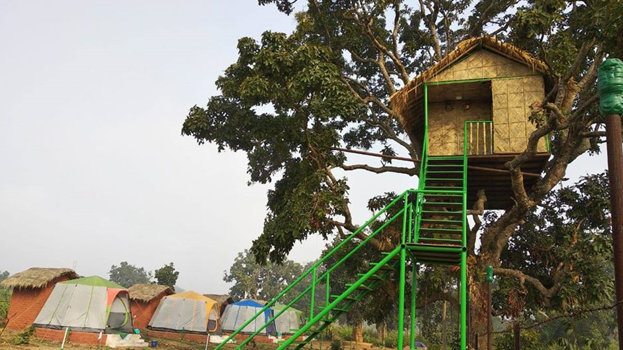 ঘুরে আসুন প্রকৃতির কোলে, গাছবাড়ি থেকে