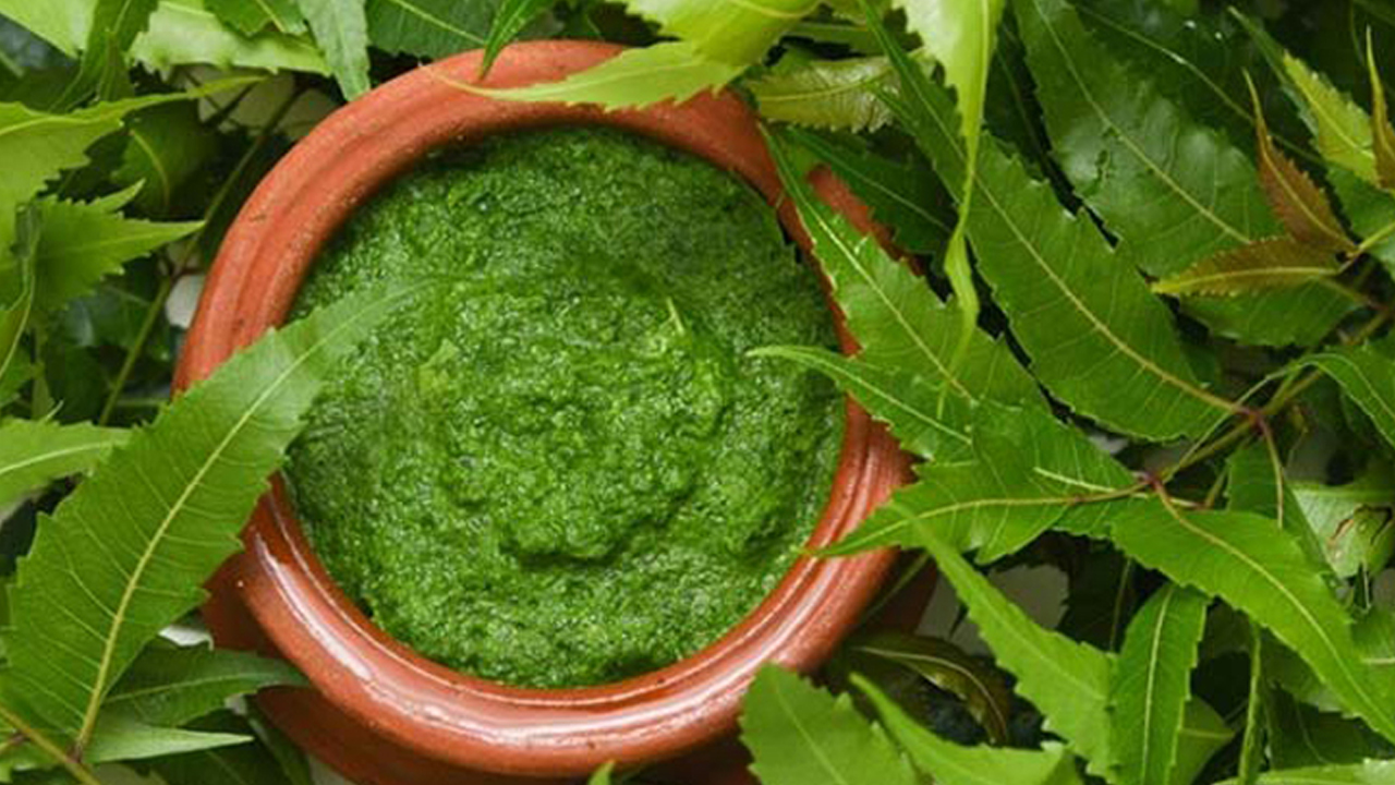 রোগ নিরাময়ে নিমপাতার উপকারীতা