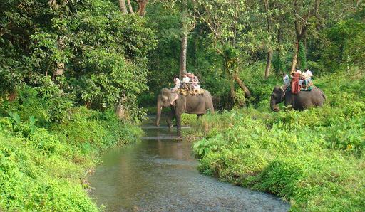 অবশেষে খুলছে জঙ্গল, খুশি পর্যটন মহল