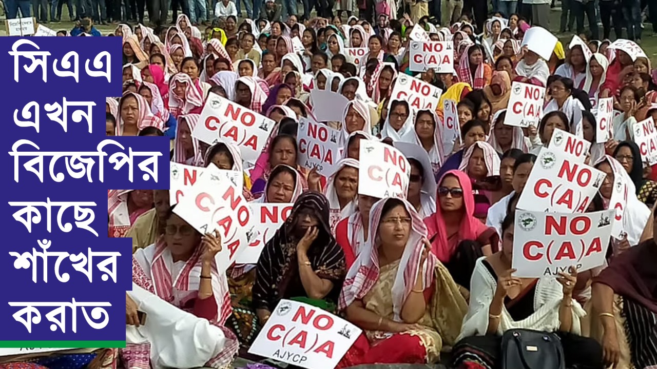 সিএএ এখন বিজেপির কাছে শাঁখের করাত