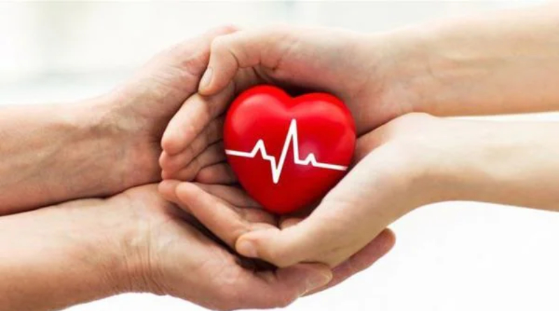 জানুয়ারি থেকে মার্চে অঙ্গীকারবদ্ধ ২ হাজার! বাংলায় বাড়ছে মরণোত্তর অঙ্গদানে আগ্রহ