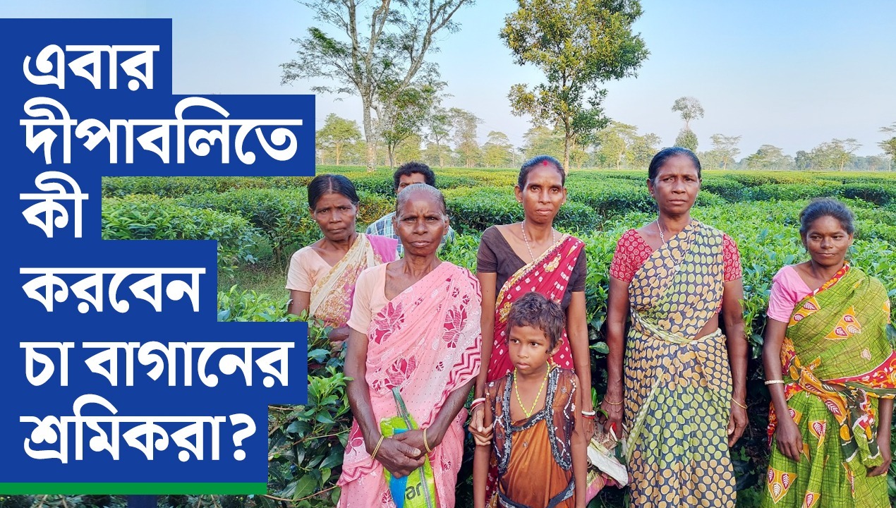 #Exclusive এবার দীপাবলিতে কী করবেন চা বাগানের শ্রমিকরা?