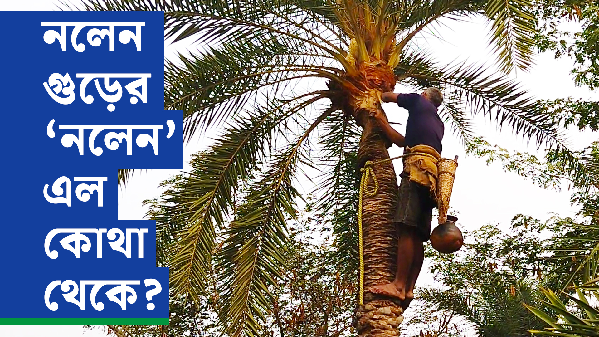 নলেন গুড়ের ‘নলেন’ এল কোথা থেকে?