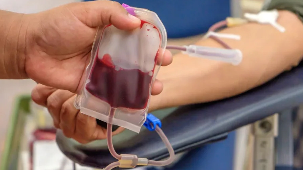 #WorldBloodDonorDay- রক্তদান আন্দোলনের সঙ্গে যুক্ত দুই প্রজন্ম কী ভাবছে?