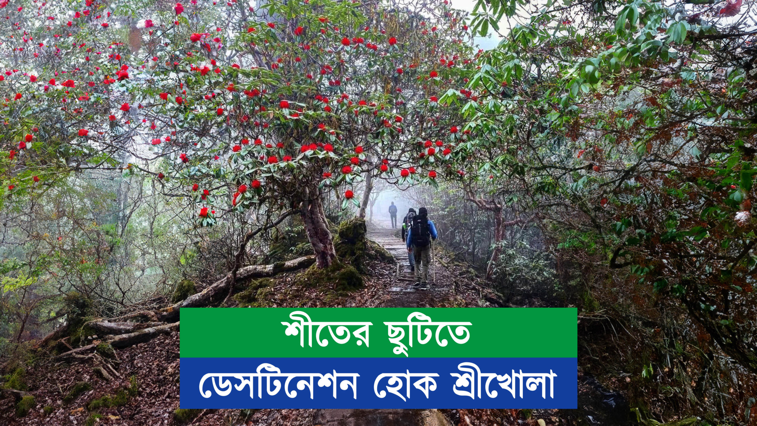 শীতের ছুটিতে ডেসটিনেশন হোক শ্রীখোলা
