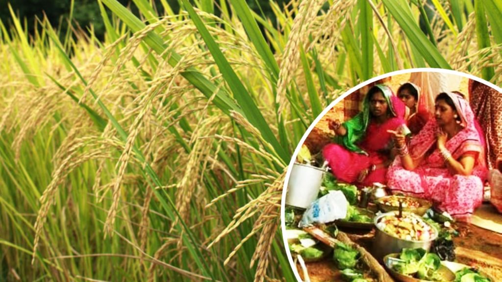 কীভাবে প্রচলন হল ক্ষেত্র দেবীর ব্রত? নেপথ্যে কোন কাহিনি?