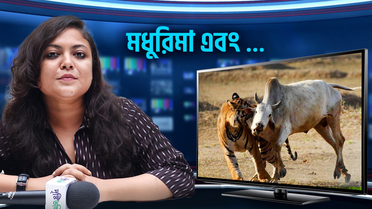 Goa’s Ex CM: গো হত্যায় বাঘেরও শাস্তি! দাবি প্রাক্তন মুখ্যমন্ত্রীর? আপনার মত কী এ বিষয়ে?