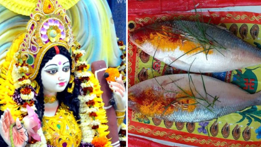 সরস্বতী পুজো ও ইলিশ পার্বন