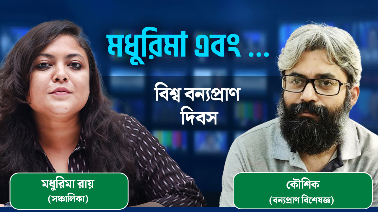‘বিশ্ব বন্যপ্রাণ দিবস’-এ আলোচনায় বন্যপ্রাণ বিশেষজ্ঞ কৌশিক