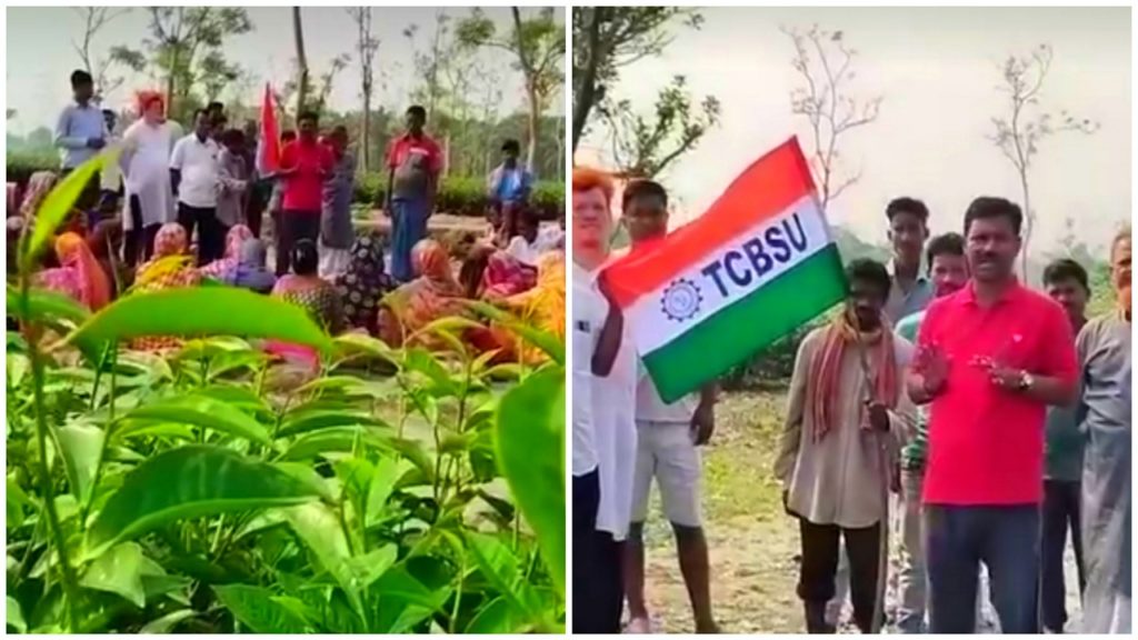 ছ’মাস পর খুলে গেল রাজগঞ্জ ব্লকের বাণী টি স্টেট, আনন্দের জোয়ার শ্রমিক পরিবারে