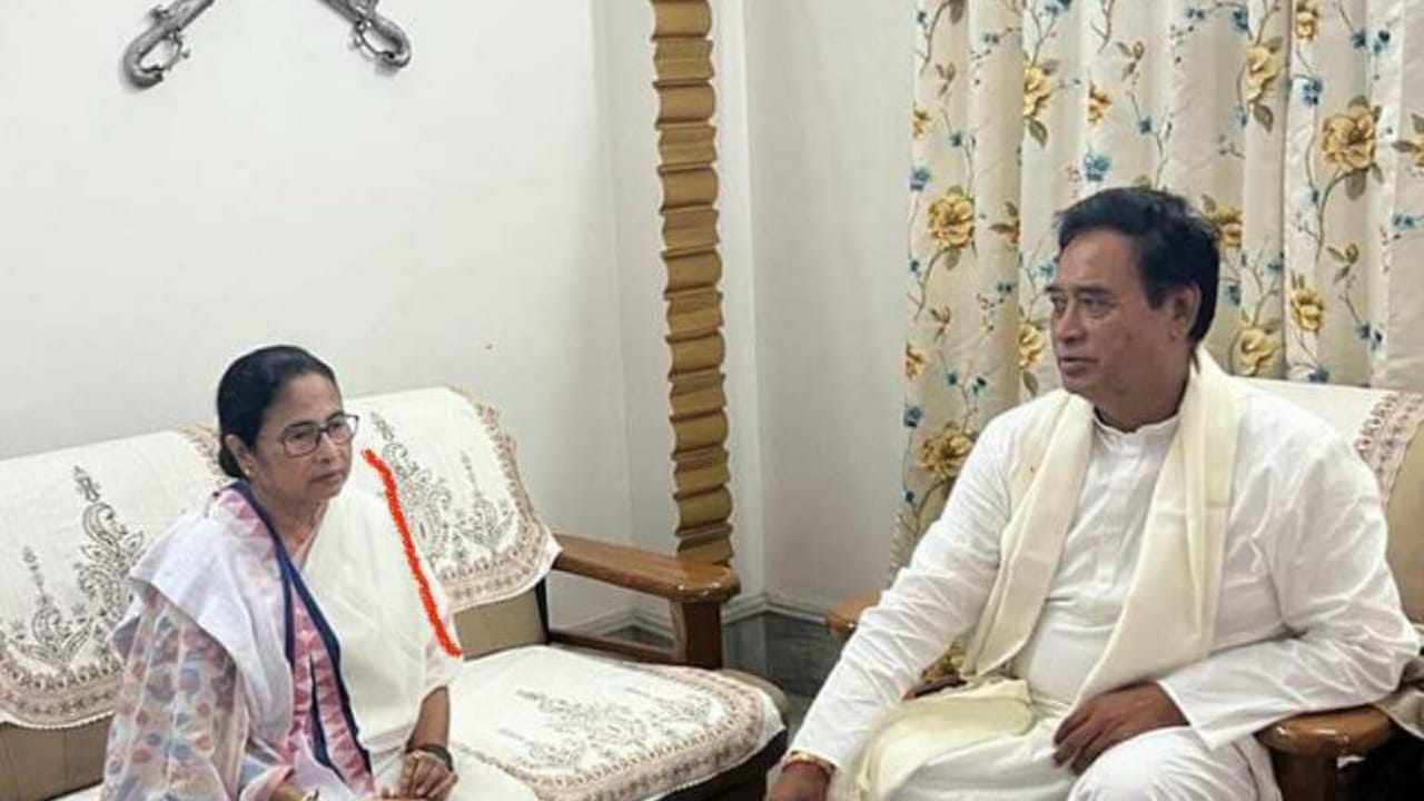 অনন্ত মহারাজের দলবদল কি আসন্ন? রাজ্যসভায় ১৩ থেকে ১৪ হওয়ার পথে তৃণমূল?