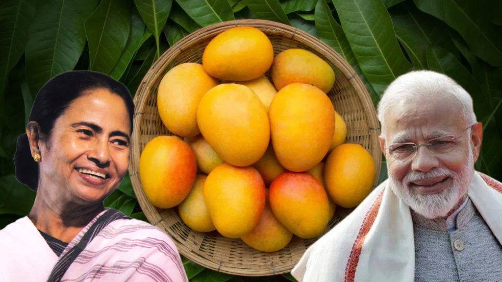 মোদী-শাহদের বাংলার আম পাঠালেন মমতা