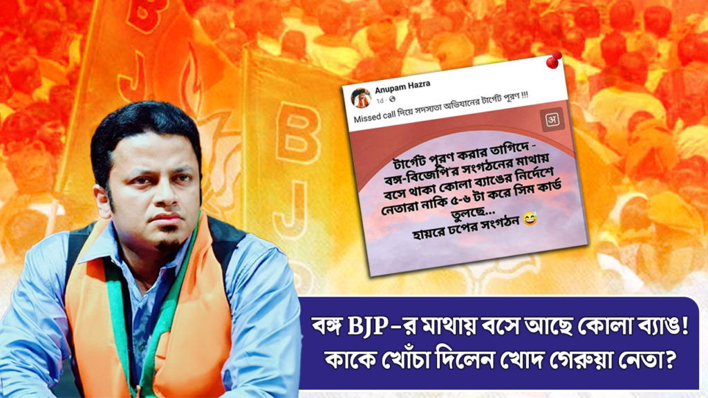 বঙ্গ BJP-র মাথায় বসে আছে কোলা ব্যাঙ! কাকে খোঁচা দিলেন খোদ গেরুয়া নেতা?