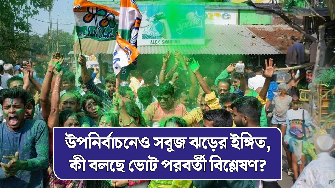 উপনির্বাচনেও সবুজ ঝড়ের ইঙ্গিত, কী বলছে ভোট পরবর্তী বিশ্লেষণ?
