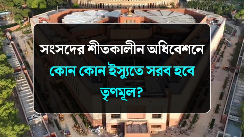 সংসদের শীতকালীন অধিবেশনে কোন কোন ইস্যুতে সরব হবে তৃণমূল? দেখুন ভিডিও