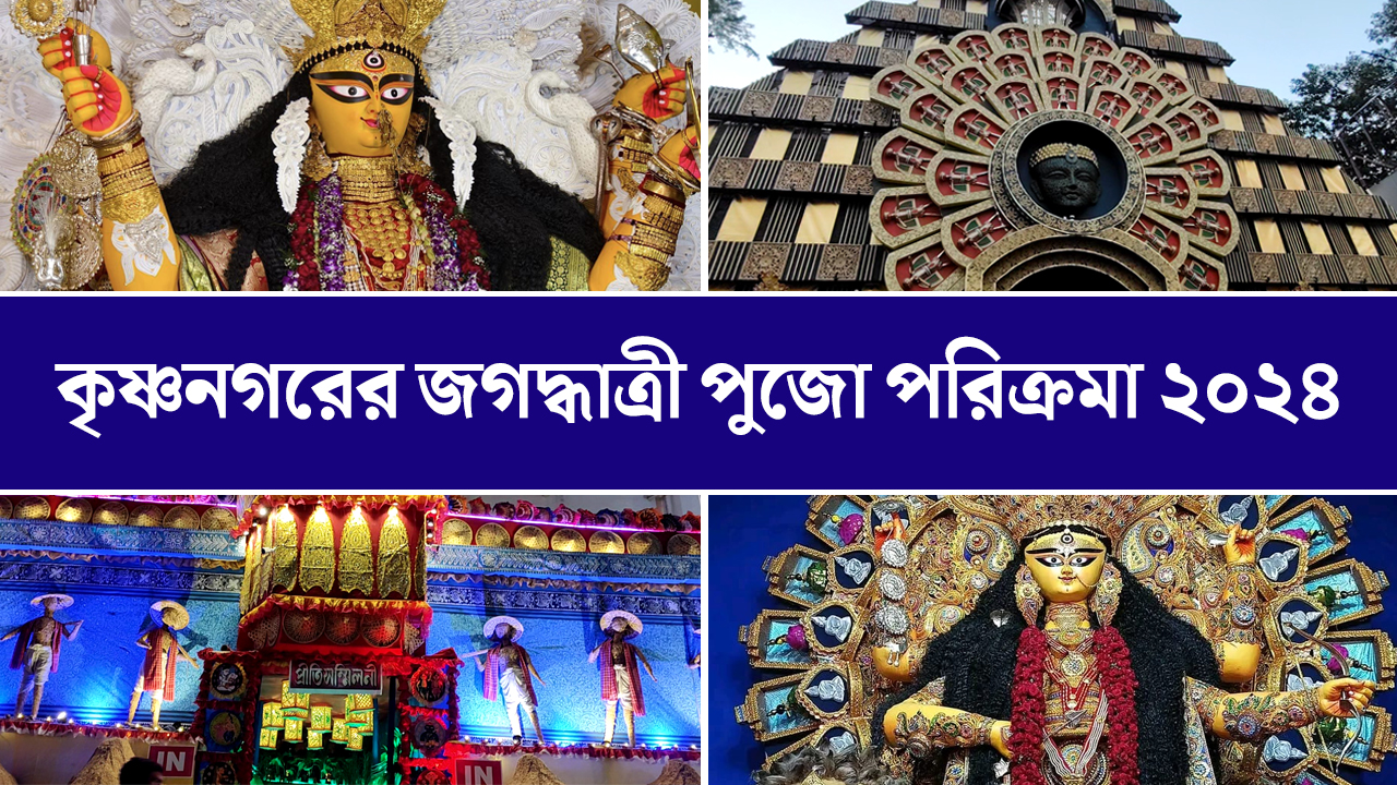 কৃষ্ণনগরের ঐতিহ্যবাহী জগদ্ধাত্রী পুজো ঘুরে দেখুন দৃষ্টিভঙ্গির সঙ্গে