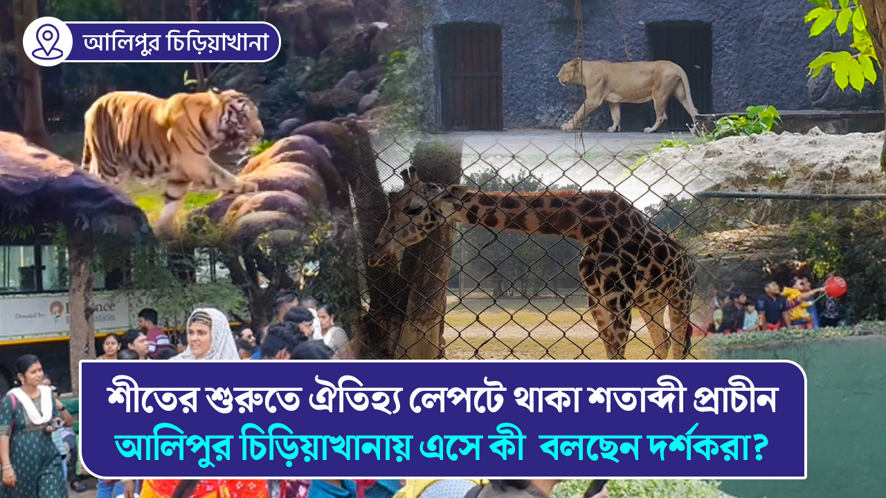 শীতের শুরুতে ঐতিহ্য লেপটে থাকা শতাব্দী প্রাচীন আলিপুর চিড়িয়াখানায় এসে কী বলছেন দর্শকরা?