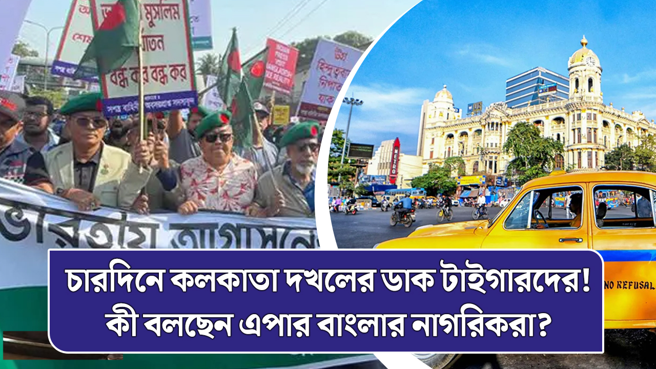 চারদিনে কলকাতা দখলের ডাক টাইগারদের! কী বলছেন এপার বাংলার নাগরিকরা?
