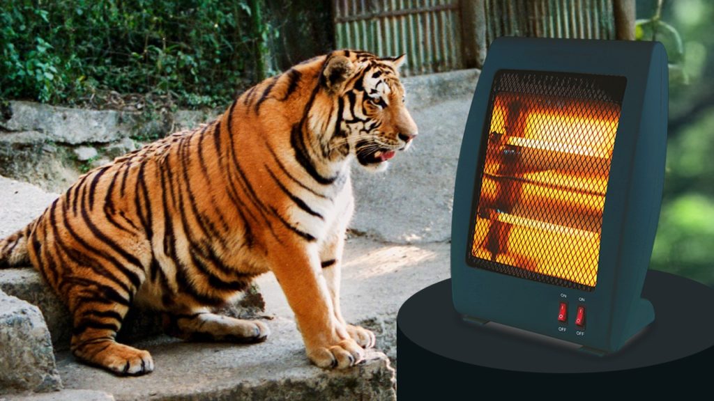 শীত থেকে দার্জিলিং চিড়িয়াখানা ও বেঙ্গল সাফারির প্রাণীদের রক্ষা করছে হিটার ও ব্লোয়ার