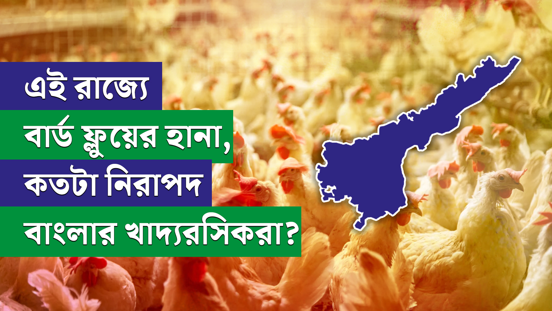 এই রাজ্যে বার্ড ফ্লুয়ের হানা – কতটা নিরাপদ বাংলার খাদ্যরসিকরা?