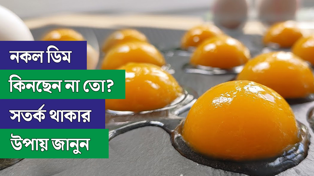 আপনি নকল ডিম কিনছেন না তো? সতর্ক থাকার উপায় জানুন