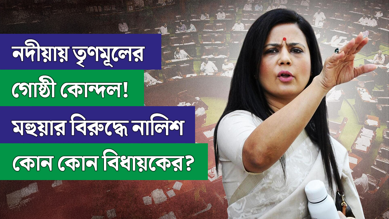 নদীয়ায় তৃণমূলের গোষ্ঠী কোন্দল! মহুয়ার বিরুদ্ধে নালিশ কোন কোন বিধায়কের?