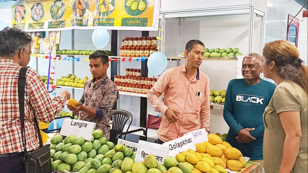 দিল্লিতে বাজিমাত বাংলার আমের, রেকর্ড বিক্রি আম মেলায়