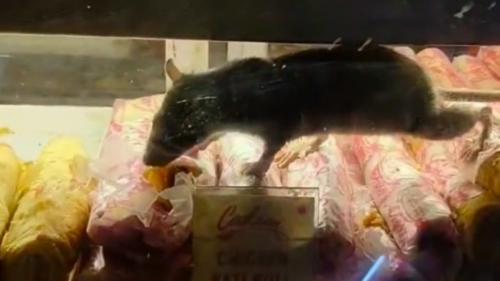 খাবারের উপর দিয়ে হেঁটে বেড়াচ্ছে ইঁদুর! Sealdah station-র Food Stall-র ভয়ঙ্কর অবস্থা!