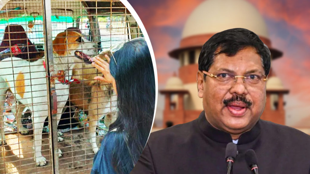 দেশজুড়ে পথ কুকুর বিতর্কে কী জানালেন সুপ্রিম কোর্টের প্রধান বিচারপতি?