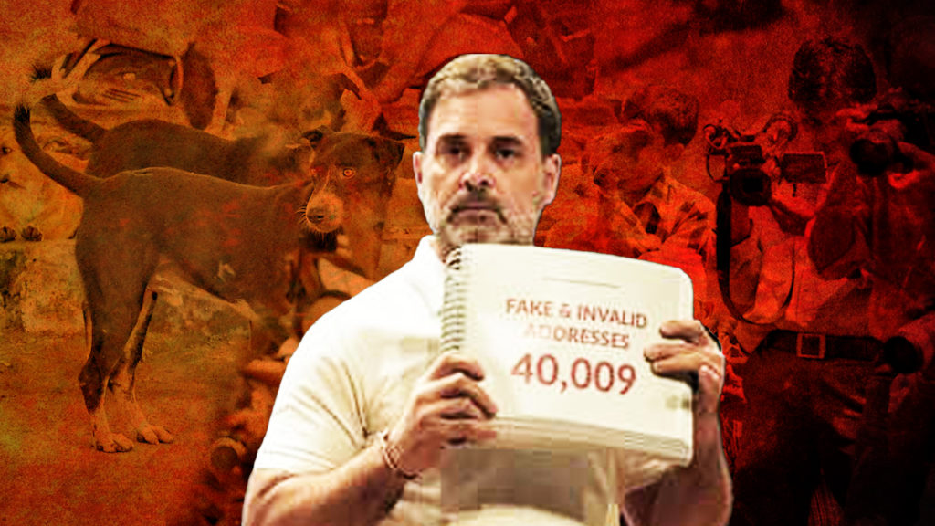 গোদি মিডিয়ার লাইমলাইটে ‘পথকুকুর’ বিতর্ক, ভোট কারচুপি নিয়ে রাহুলের অভিযোগ ঘোরানোর চেষ্টা?