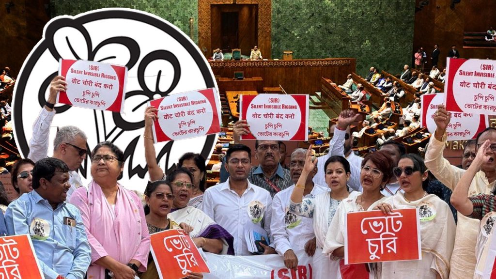 Parliament Monsoon Session 2025 – কেমন ছিল তৃণমূল সাংসদদের পারফরম্যান্স?