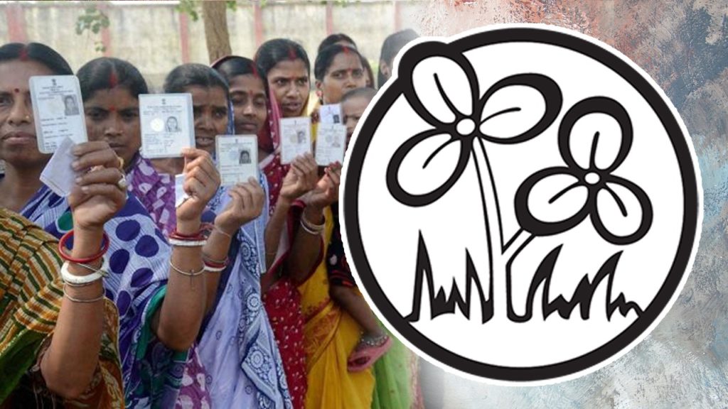 রাজ্যে আরও ১৪ হাজার বুথ! CEO দপ্তরে সর্বদল বৈঠকে SIR ইস্যুতে কী আপত্তি তৃণমূলের?