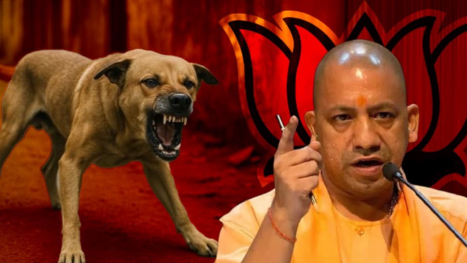 কুকুরের ‘যাবজ্জীবন’! অবাক কাণ্ড ডবল ইঞ্জিন উত্তরপ্রদেশে