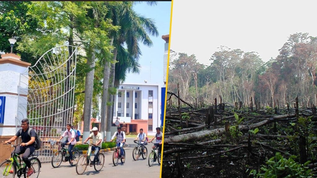 IIT KGP: দেশে শেষ হয়ে যাচ্ছে বনাঞ্চল? কী জানাচ্ছে আইআইটি খড়গপুর?