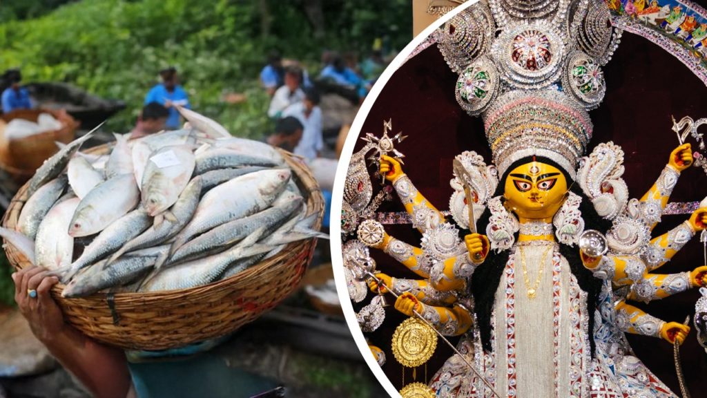 Hilsa: দুর্গাপুজোর আগেই বাজারে বঙ্গোপসাগরের ৩০০ টন ইলিশ