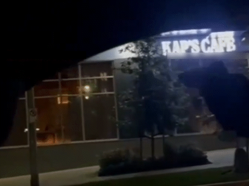 কানাডায় Kapil Sharma-র ক্যাফেতে ফের গুলি! চার মাসে তৃতীয় হামলায় তীব্র আতঙ্ক