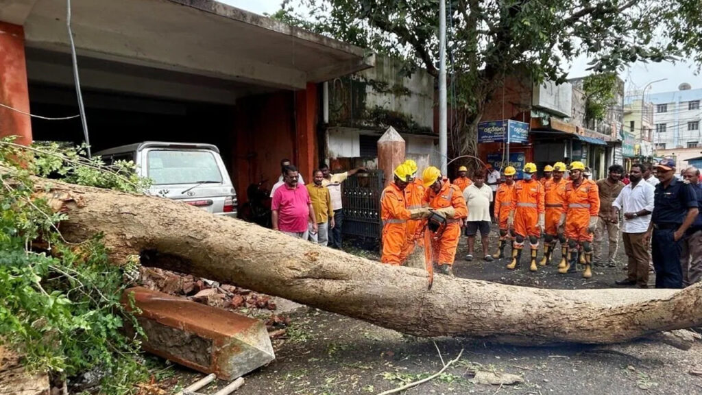 CYCLONE MANTHA: শক্তি হারাচ্ছে মান্থা, অন্ধ্রে মৃত এক, আহত দুই