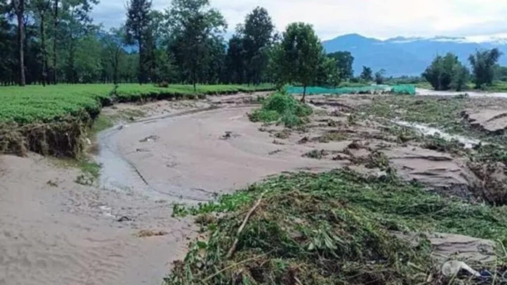 তছনছ উত্তরবঙ্গের একাধিক চা বাগান, ক্ষতির পরিমাণ পেরোতে পারে ১০০ কোটি!