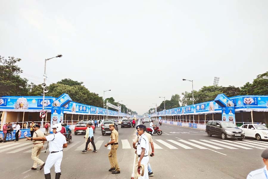 রেড রোডে কার্নিভালে অংশ নিচ্ছে শতাধিক পুজো কমিটি, ভিড় নিয়ন্ত্রণ ও নিরাপত্তায় পুলিশের কড়া প্রস্তুতি