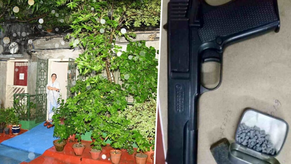 ২৬ শের আগে ফের নিশানায় মুখ্যমন্ত্রী? কালীঘাটের বাড়ির অদূরে অস্ত্র-সহ আটক প্রৌঢ়