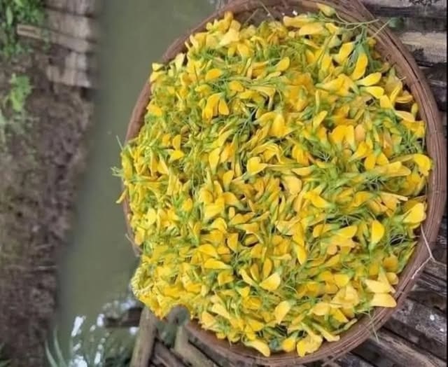 হজমশক্তি থেকে রোগ প্রতিরোধ, সবেতেই দারুণ কার্যকর এই শাক