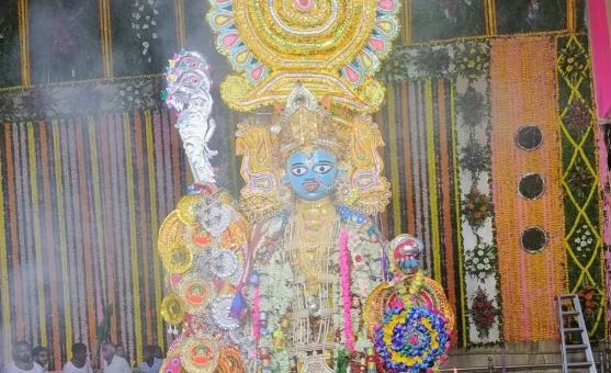 দীপান্বিতায় নয় জাঙ্গিপাড়ার আঁটপুর আনরবাটিতে কালীপুজো হয় চতুর্দশী তিথিতে