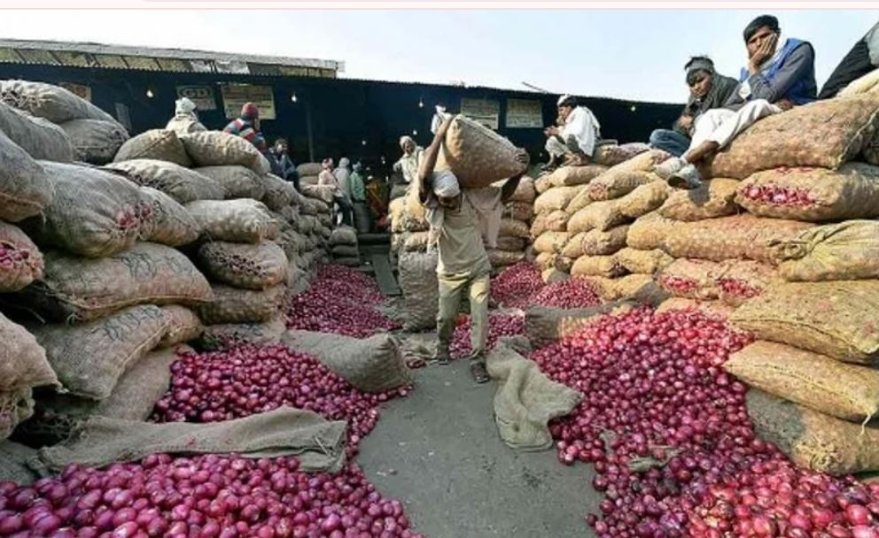 ৭৫০ কেজি পেঁয়াজ বিক্রি করে আয় মাত্র ৬৬৪ টাকা! ডবল ইঞ্জিন মহারাষ্ট্রের কৃষক সমাজে শুধুই হাহাকার