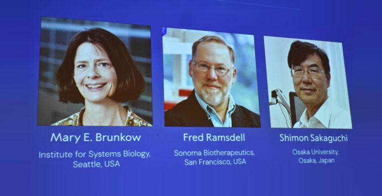 Noble Prize 2025: চিকিৎসায় নোবেল পেলেন যুক্তরাষ্ট্র ও জাপানের ৩ বিজ্ঞানী