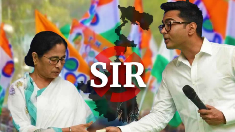 SIR নিয়ে দলের নেতাদের রিপোর্ট কার্ড মমতাকে দেবেন অভিষেক, তৃণমূলে বদলের ইঙ্গিত?