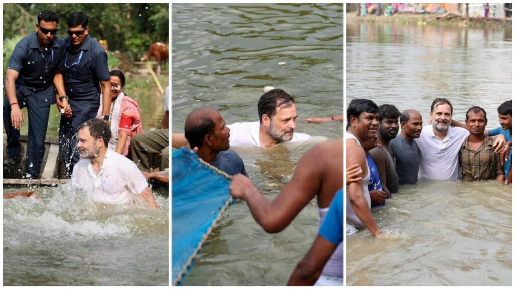 Bihar Election: হঠাৎ পুকুরে ঝাঁপ থেকে ঘোলা জলে মাছ ধরা, ভাইরাল রাহুলের রবিবাসরীয় ভোট প্রচার