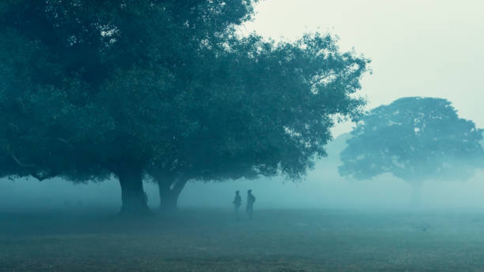 Weather Update: আজ বৃহস্পতিবার রাজ্যে কেমন থাকবে শীতের আমেজ?