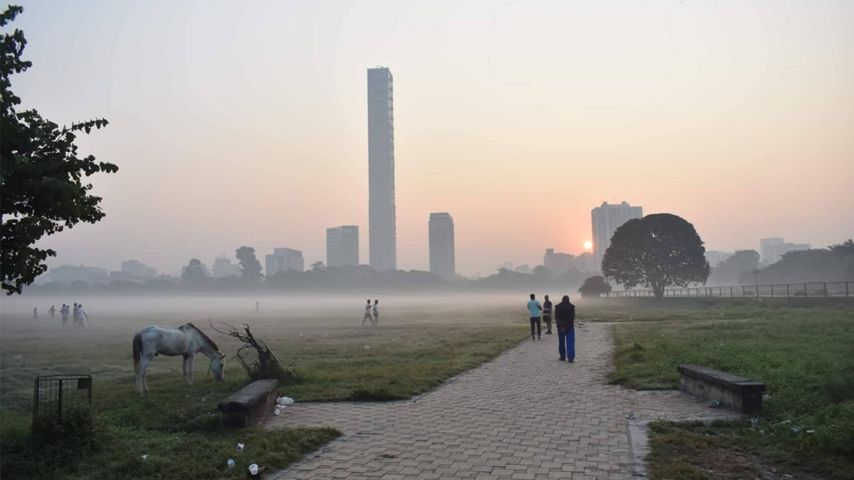 Weather Update: নভেম্বরের শেষ সপ্তাহে কেমন থাকবে ঠান্ডা?